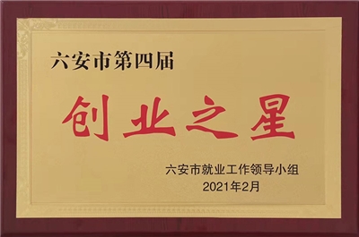 六安市第四届创业之星